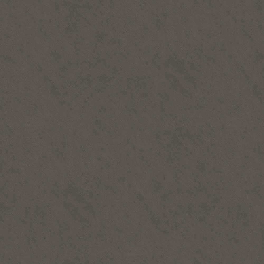 BG 8004